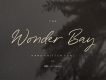 Wonder Bay Script Demo