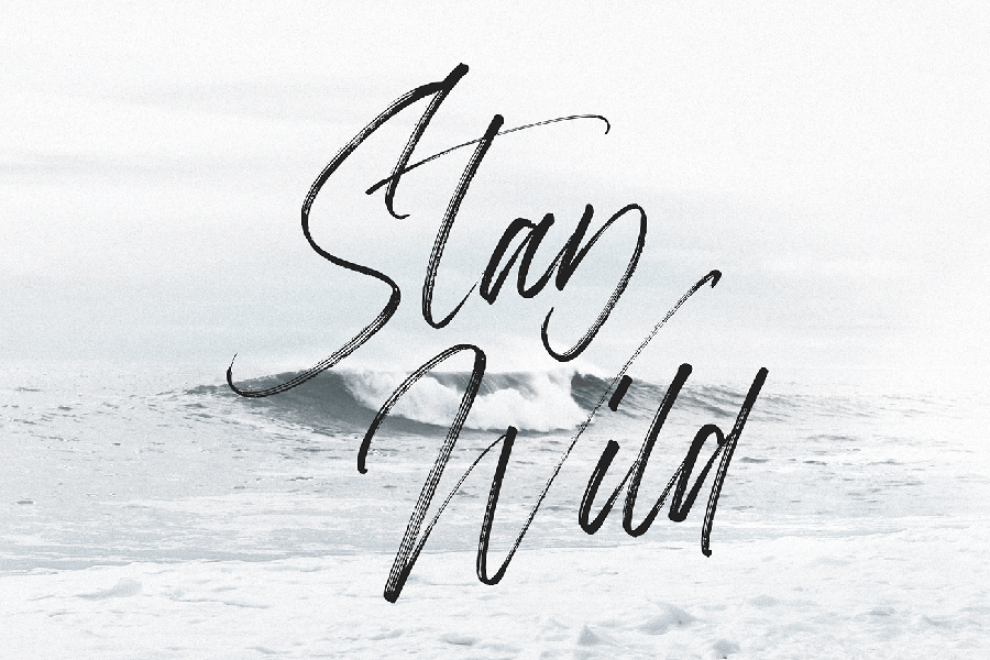 Aerobrush Handlettering Brush Script