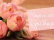 Attasey Signature Script Font