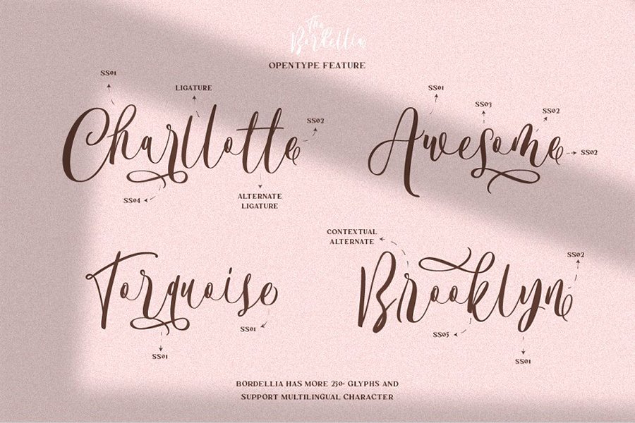 Bordellia Script Lettering Font