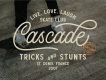 Buryland Vintage Monoline Script