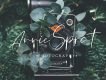 Orchest Luxurious Script Font