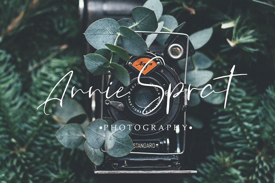 Orchest Luxurious Script Font