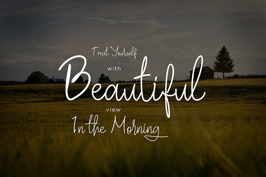 Villaga Stylish Signature Font