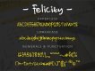 Free Felicity Display Font