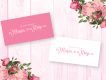 Priscilla Script Free Typeface