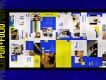 Portfolio Business Presentation