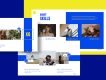 Portfolio Business Presentation