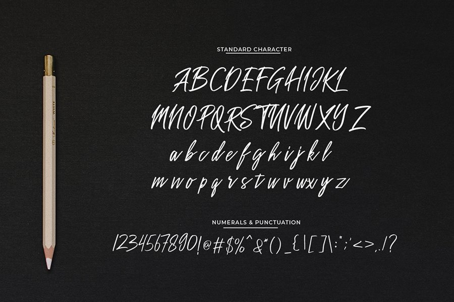Sakoda Signature Script Font