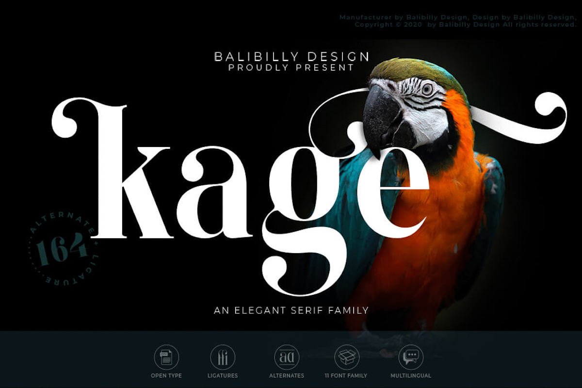 Kage Elegant Serif Font
