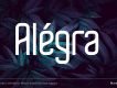 Alégra - Modern Display Font