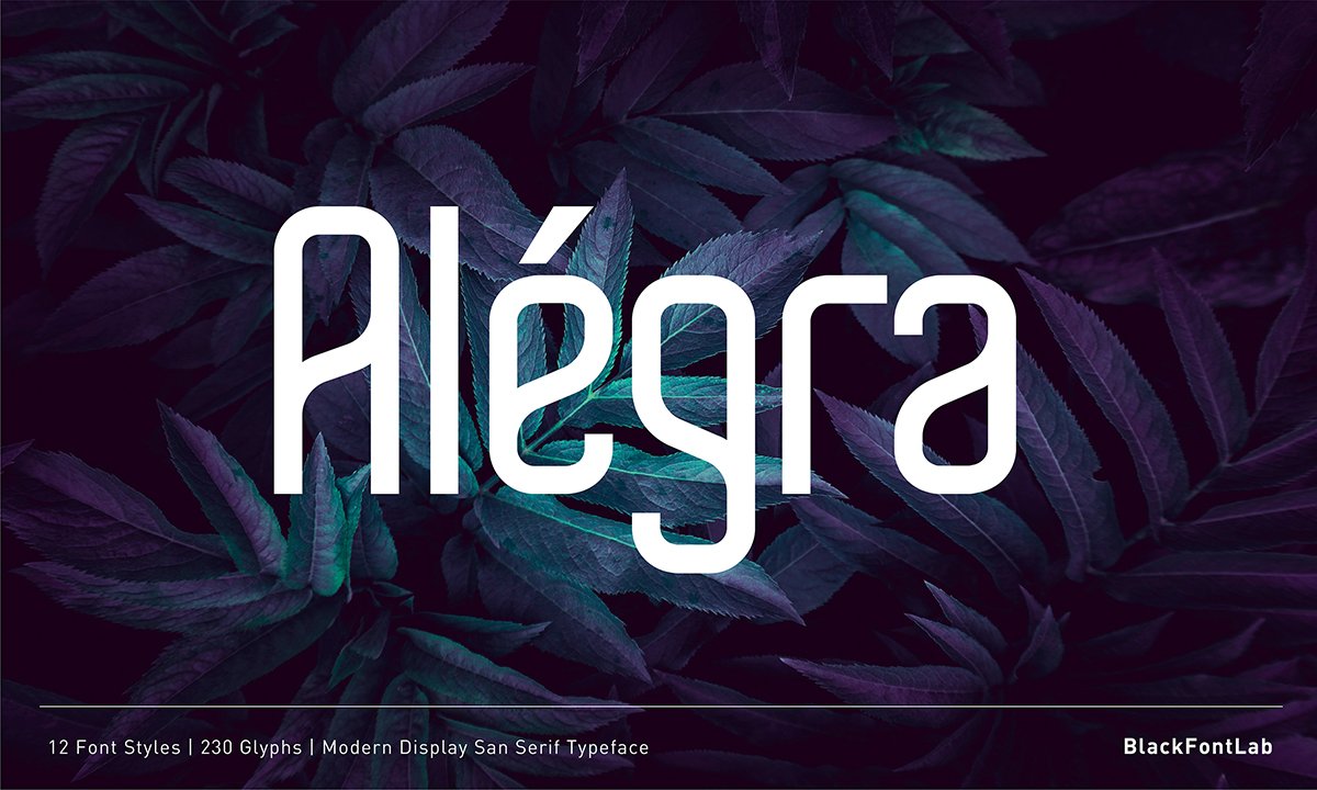 Alégra - Modern Display Font